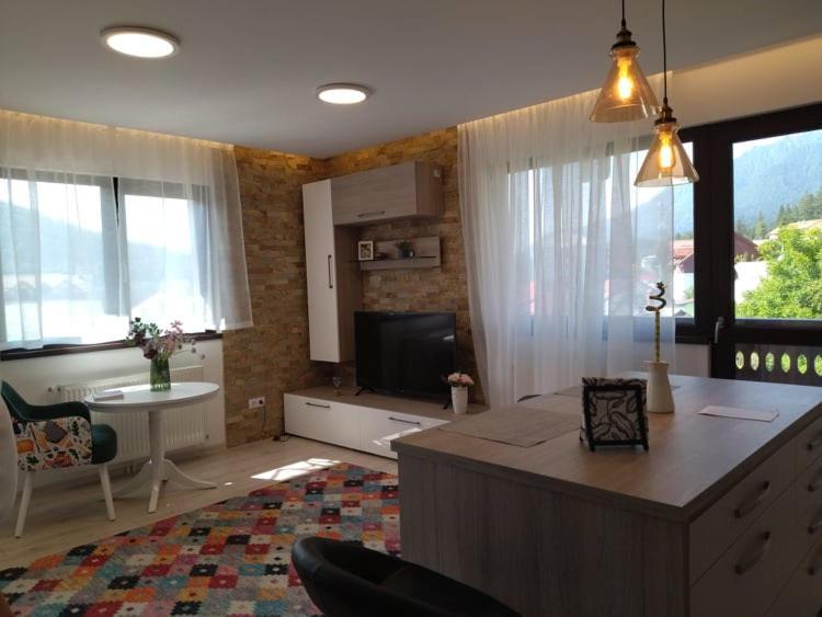 Belcara Apartment Buşteni Esterno foto