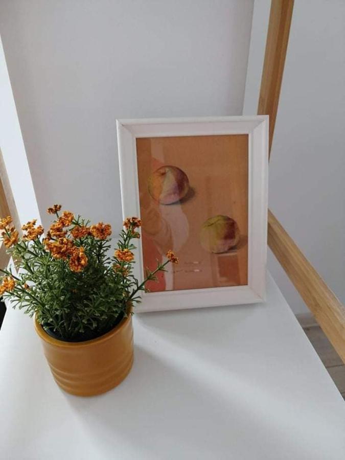 Belcara Apartment Buşteni Esterno foto