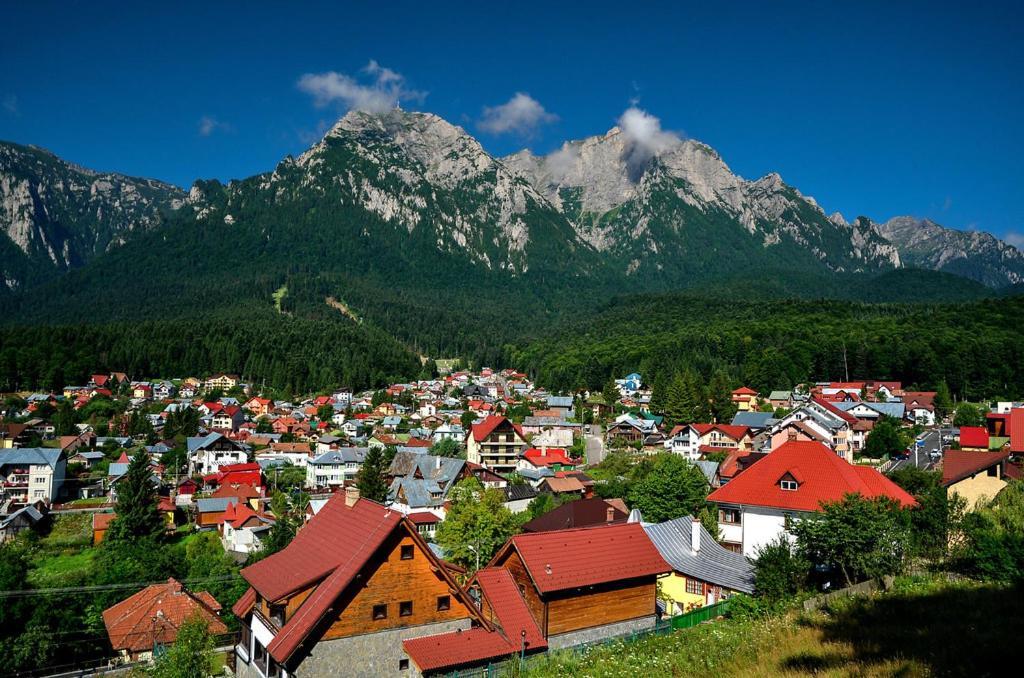 Belcara Apartment Buşteni Esterno foto